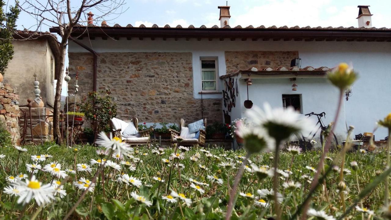 Il Colle Calci Villa Buitenkant foto