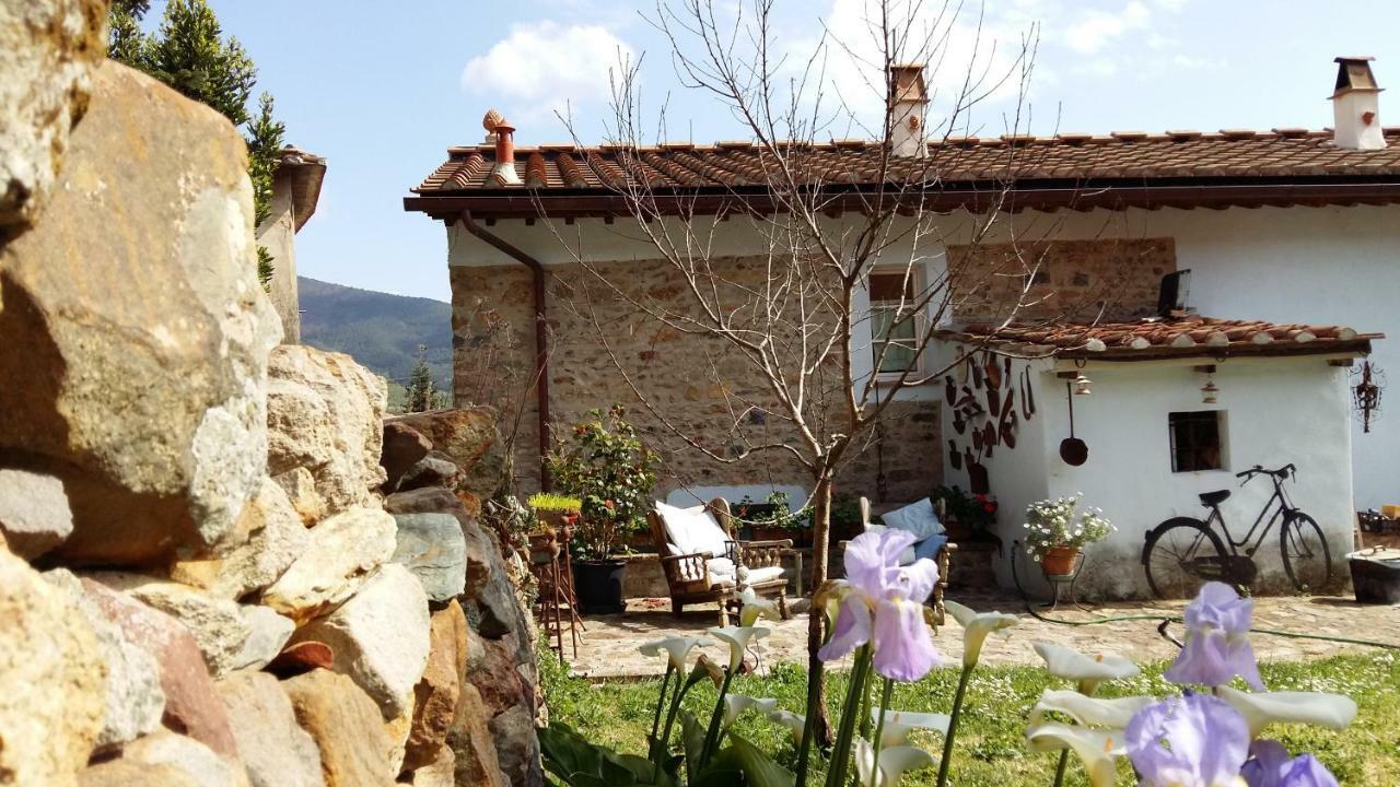 Il Colle Calci Villa Buitenkant foto