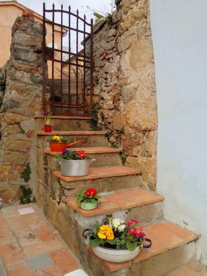Il Colle Calci Villa Buitenkant foto